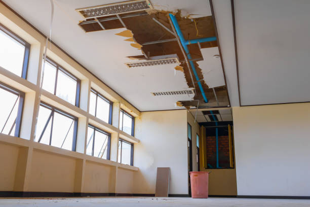 Best Water damage restoration company  in Springfield, MA
