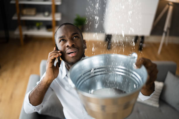 Best 24/7 water damage repair  in Springfield, MA