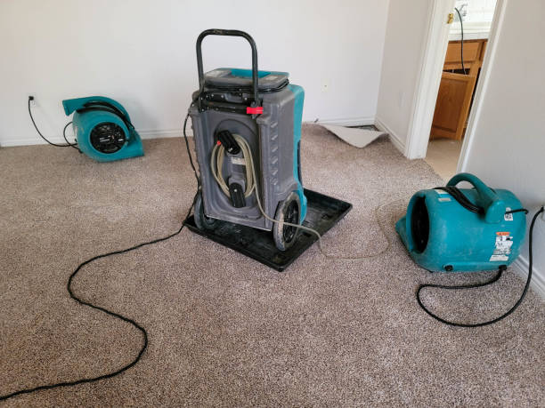 Best Water damage restoration near me  in Springfield, MA