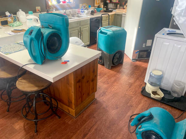 Best Emergency water damage restoration  in Springfield, MA