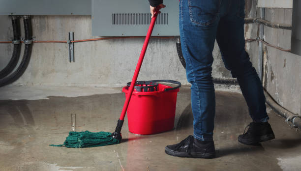 Best Flood damage cleanup  in Springfield, MA