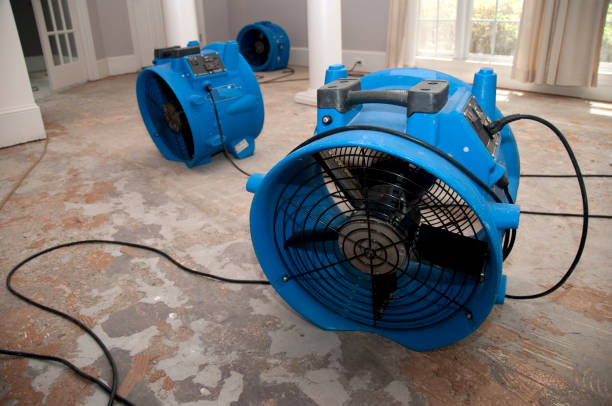  Springfield, MA Water damage restoration Pros