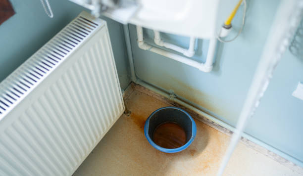 Best Professional water damage repair  in Springfield, MA