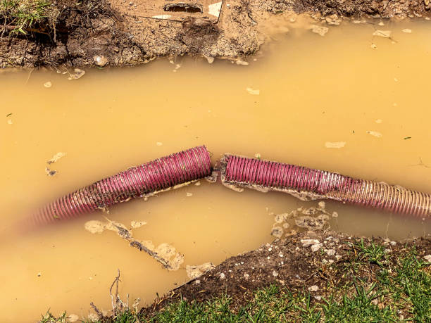 Best Sewage cleanup and water damage restoration  in Springfield, MA