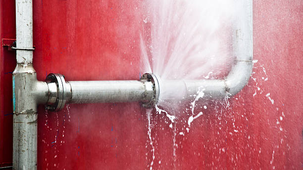 Best Carpet water damage restoration  in Springfield, MA